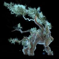 Frost Spirit (NPC).jpg