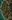 Griffonstone Buttresses map.jpg
