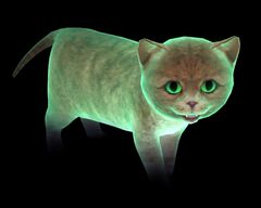 Holographic Kitten.jpg