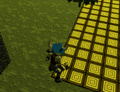 2 Jumping around the corner.