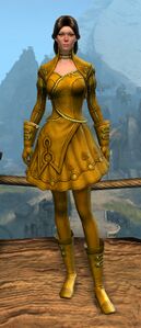 Appearance on light armor.