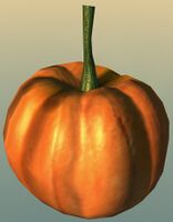 Pumpkin.jpg
