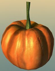 Pumpkin.jpg