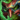 Trickster's Mask.png