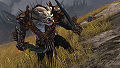 2010 June warrior 006.jpg