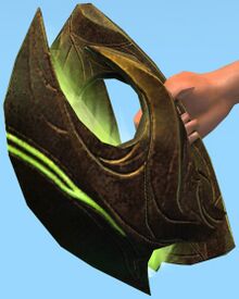 Auric Focus.jpg