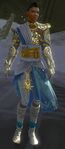 Medium armor