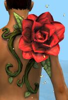 Desert Rose.jpg