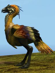 Golden Moa.jpg