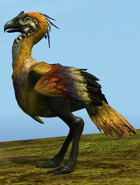 File:Golden Moa.jpg