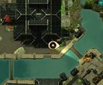 Little-foxes-in-the-big-city-3.jpg