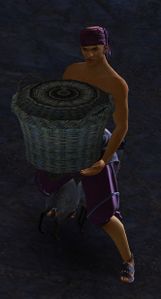 Lost Noble.jpg