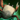 Mini Dancing Crab.png