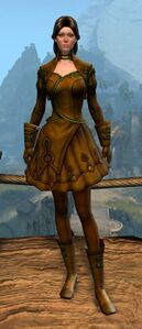 Appearance on light armor.