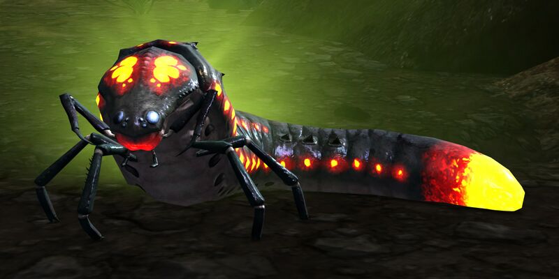 File:Plump Beetle Larva.jpg
