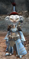 Priory asura male light 3.jpg