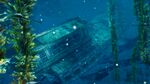 Ship-in-a-Bottle Grotto.jpg
