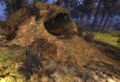 Skelk Nest.jpg