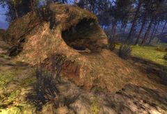 Skelk Nest.jpg