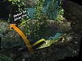 3. There are two silver ores up above on the left. Otherwise, drop down to take the stairs going down.