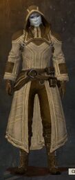 Traveler's Outfit