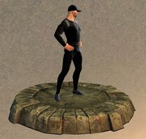 Armor Display Case Relax.jpg