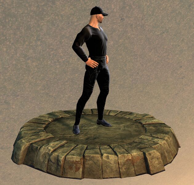 File:Armor Display Case Relax.jpg