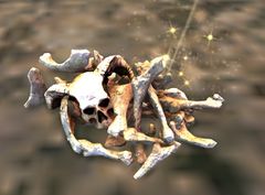 Bleached Bones.jpg