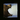 Defy Pain.png