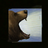 Defy Pain.png