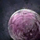 Frozen Winterberry.png