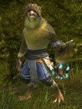 Gloster Canary Tengu (bow).jpg