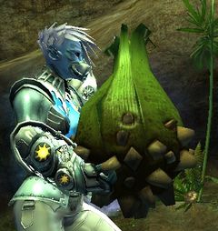 Green Plant.jpg