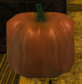 Thumbnail for version as of 11:08, 31 October 2016