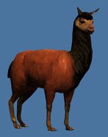 Mini Emperor Llama.jpg