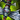 Naegling.png