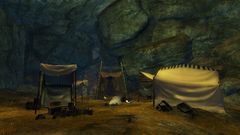 Onager Bivouac.jpg