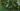 Riddled Cove map.jpg