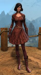 Appearance on light armor.