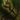 Zhaitan's Insight.png