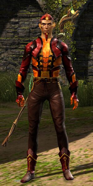 File:Bandit Battlemage male.jpg