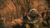 Barrage animation.gif