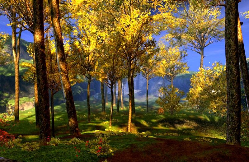 File:Forest of Aarden.jpg