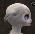 Gw2-new-faces-festival-of-four-winds-asura-female-2-side.jpg