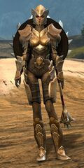Lionguard human heavy 1.jpg