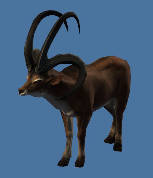 File:Mini Longhorn Sheep.jpg