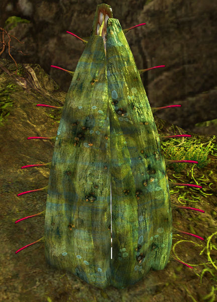 File:Noxious Pod.jpg