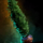 Potted Cypress.png