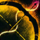 Self-Assembling Longbow Fragment.png