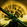 Transmute Earth.png
